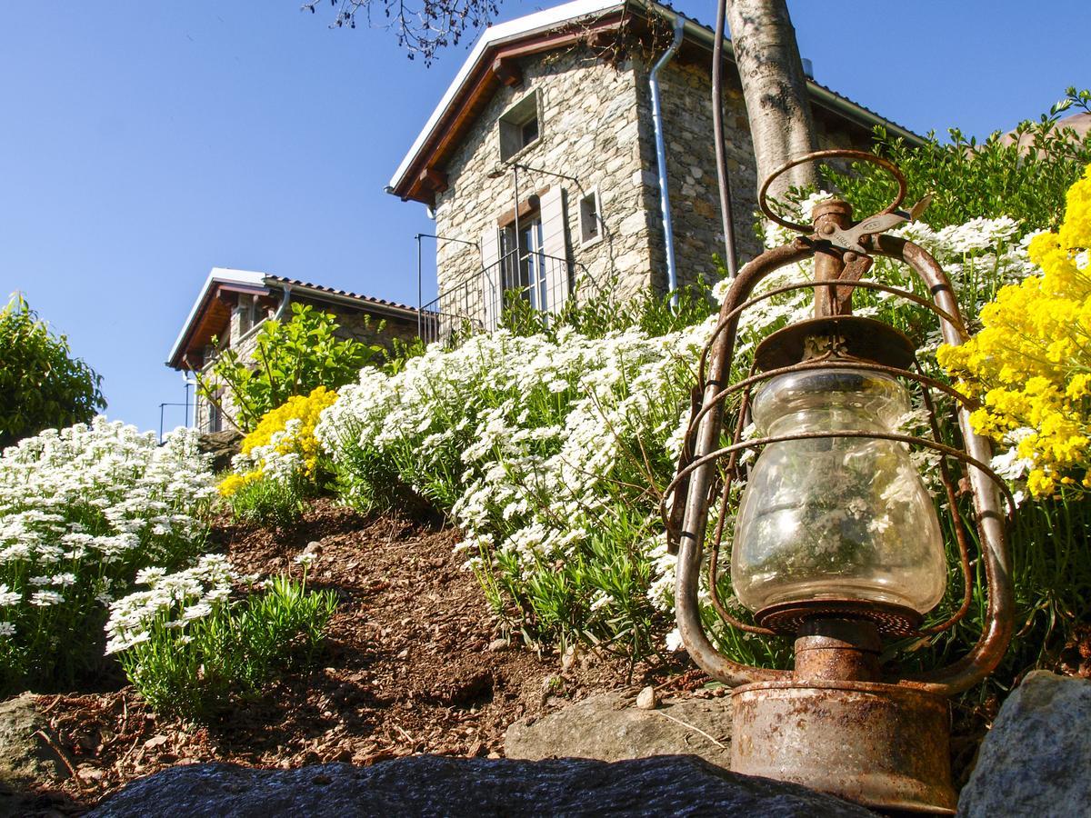 Agriturismo Treterre Pianello Del Lario Dış mekan fotoğraf