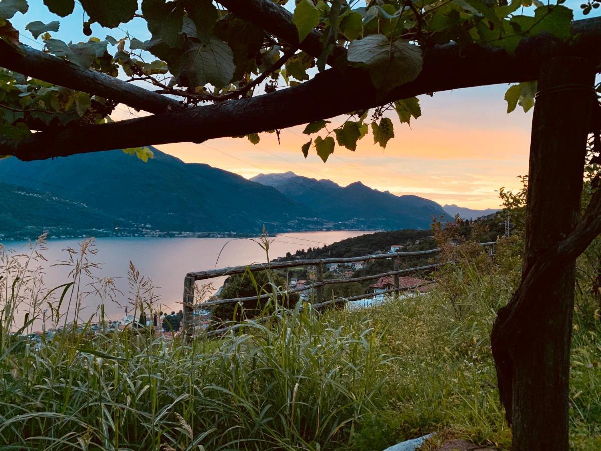 Agriturismo Treterre Pianello Del Lario Dış mekan fotoğraf